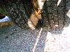 Vozidlo MAN TGL 8.220 4x2 BL